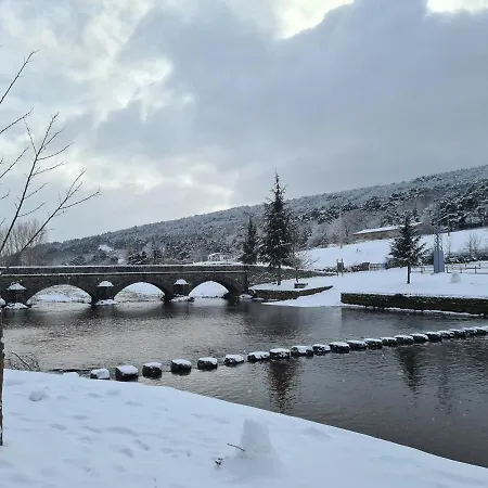 Nieves