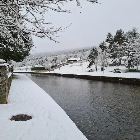 Nieves