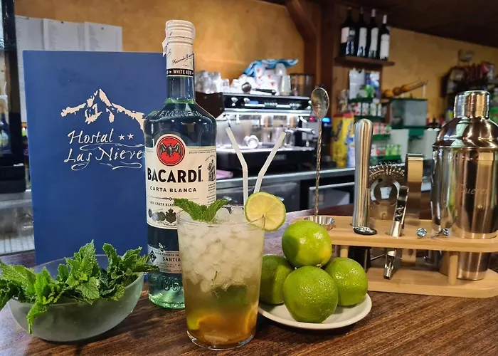 컨트리하우스 Nieves *