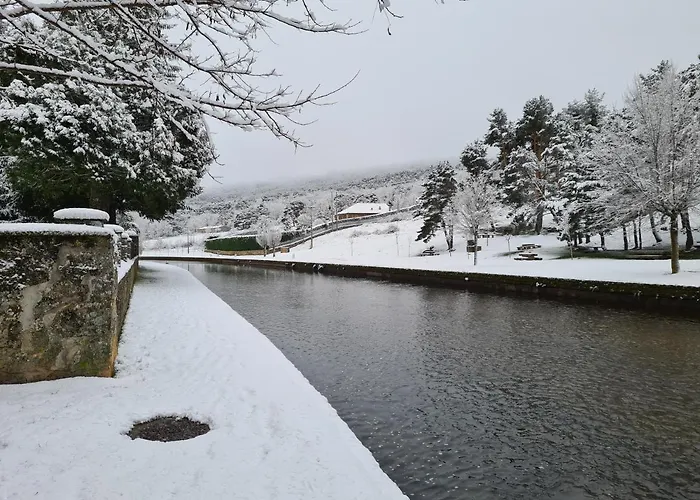 Nieves