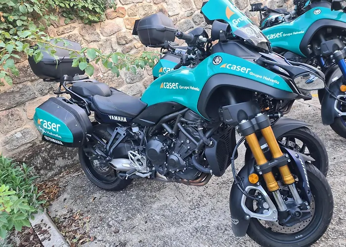 컨트리하우스 Nieves *